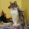 Отзыв от Аня Ушакова